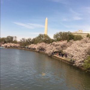 Meet your Posher, Shelby